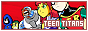 Teen Titans Fan